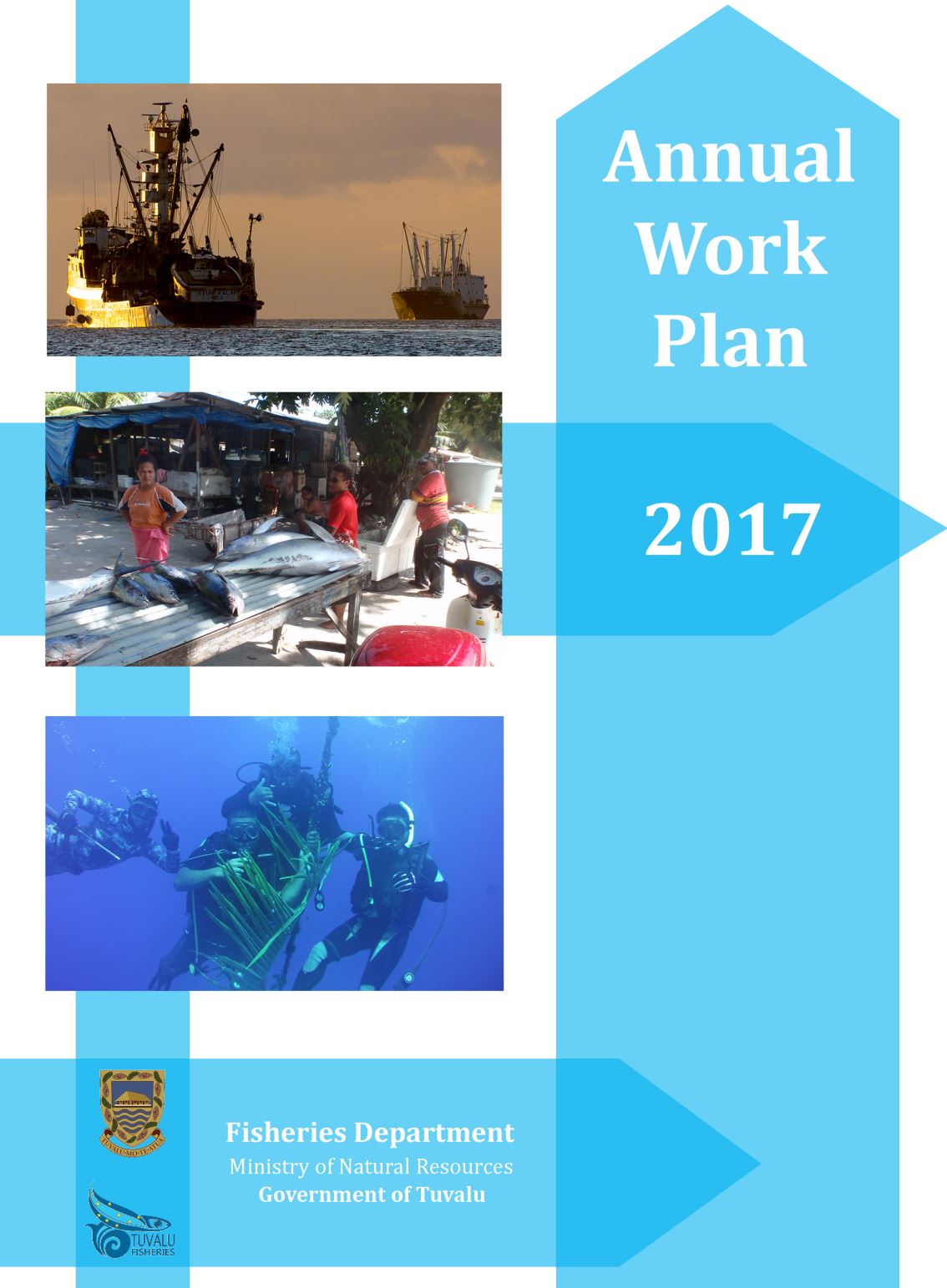 Annual Work Plan 2017