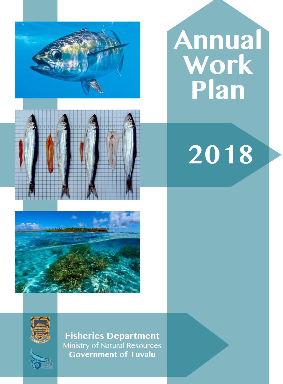 Annual Work Plan 2018