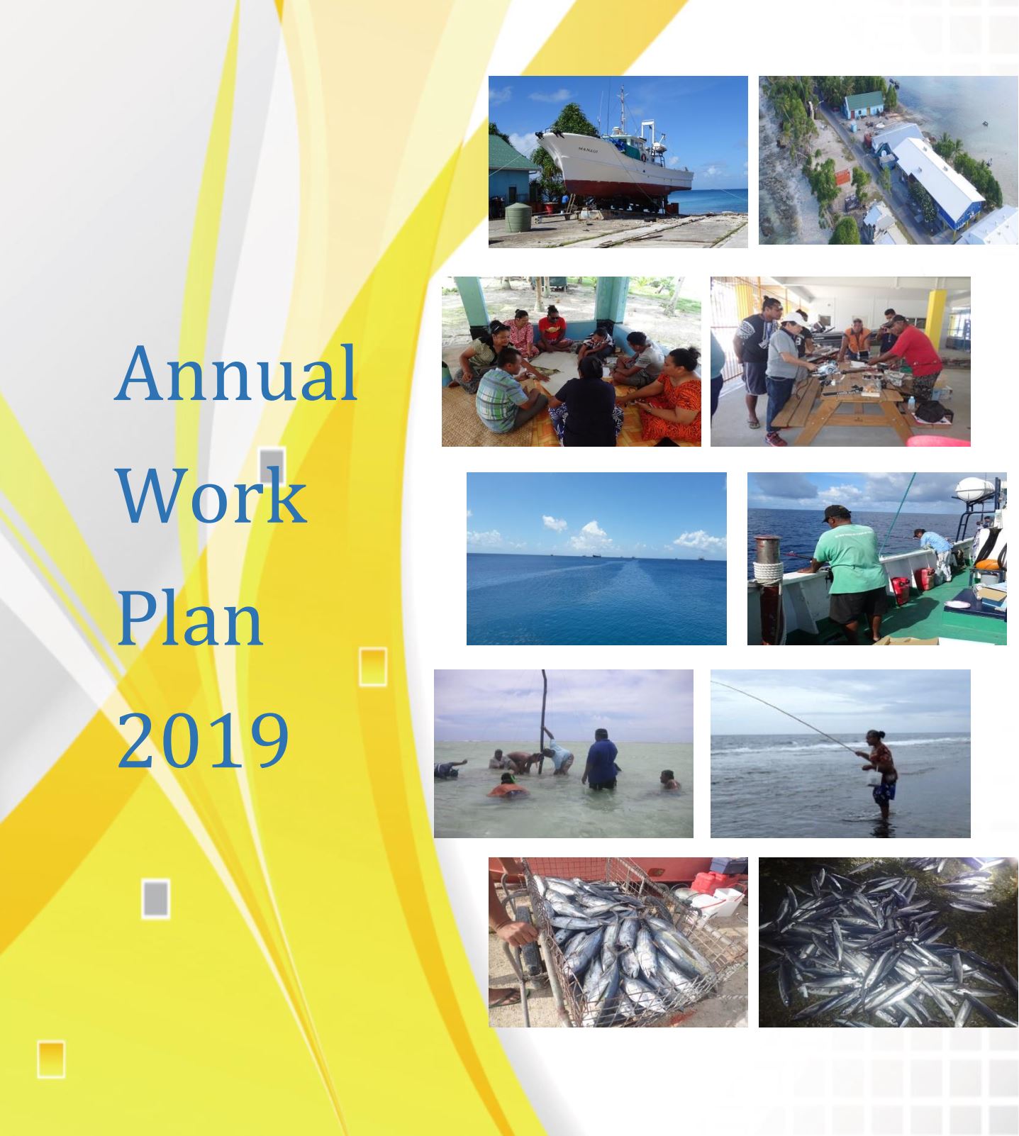 Annual Work Plan 2019
