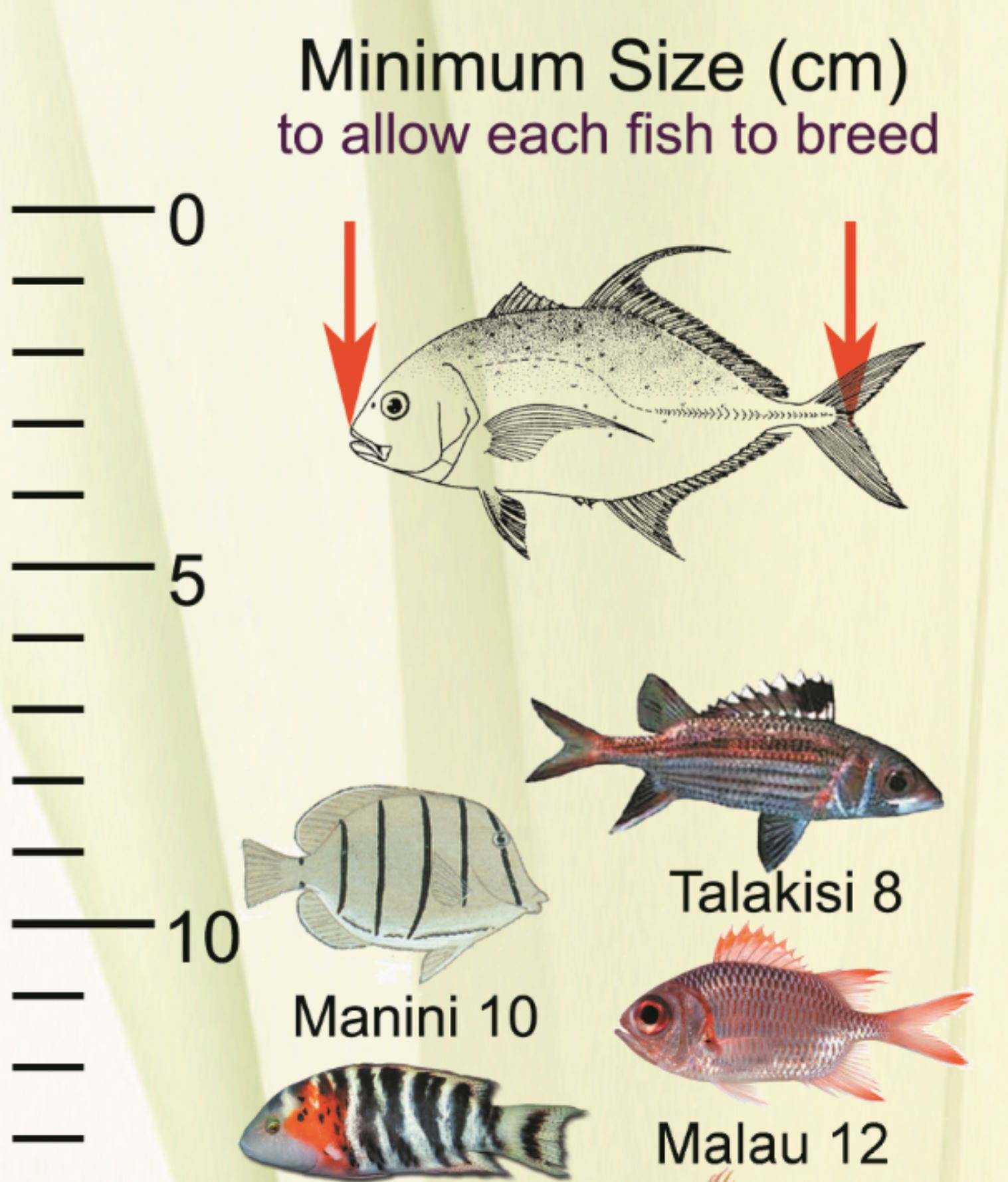 Fish Size Sticker
